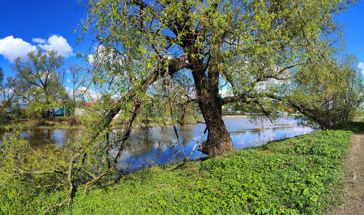 Река Серая - Денис Бочкарёв Река Серая - Денис Бочкарёв