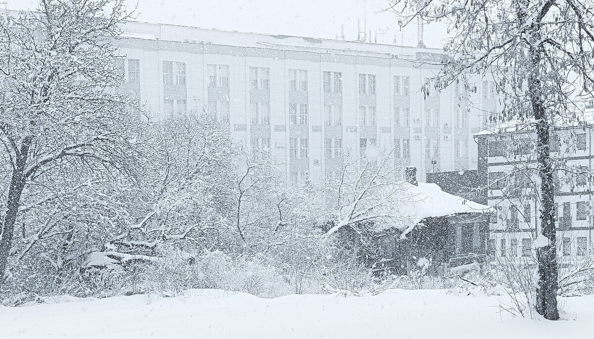 Апрельский снегопад... - Владимир Шошин Апрельский снегопад... - Владимир Шошин