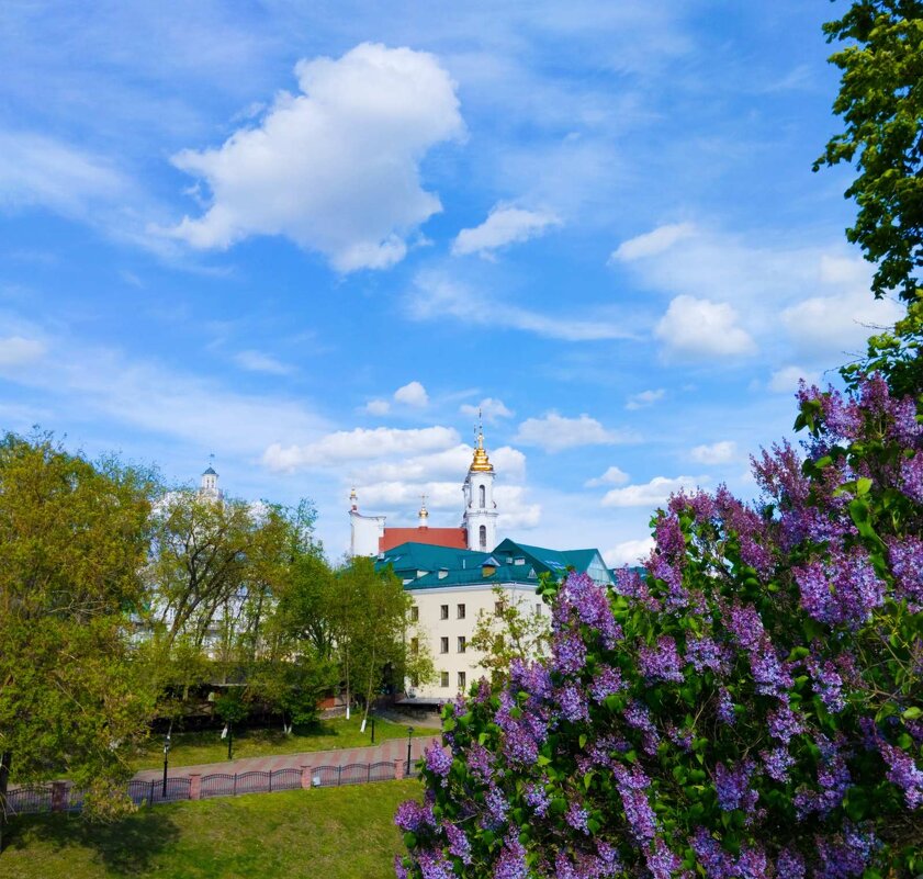 Плыл по городу запах сирени...(с) - Галина Бобкина