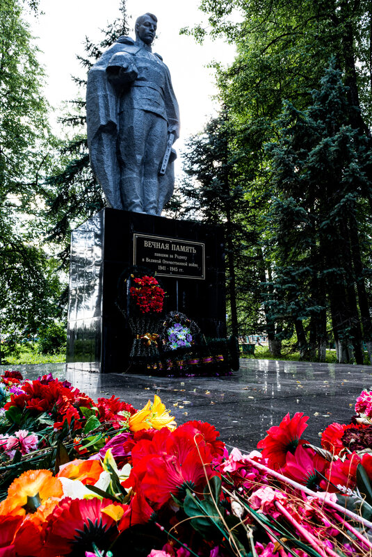 Ты же выжил, солдат! - Дмитрий Печенкин Ты же выжил, солдат! - Дмитрий Печенкин