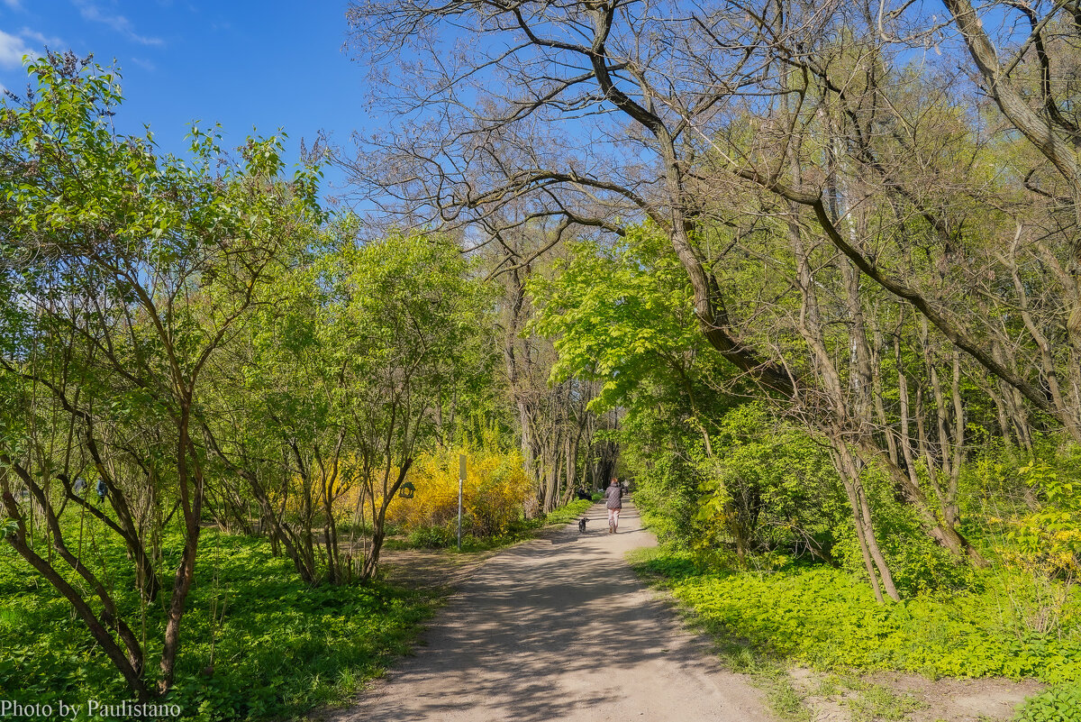 В весеннем парке... - Владимир Жданов В весеннем парке... - Владимир Жданов