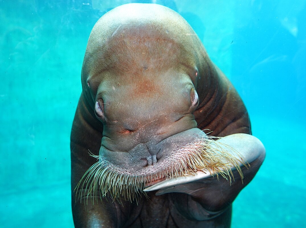 Задумался... - Татьяна Тюменка Задумался... - Татьяна Тюменка