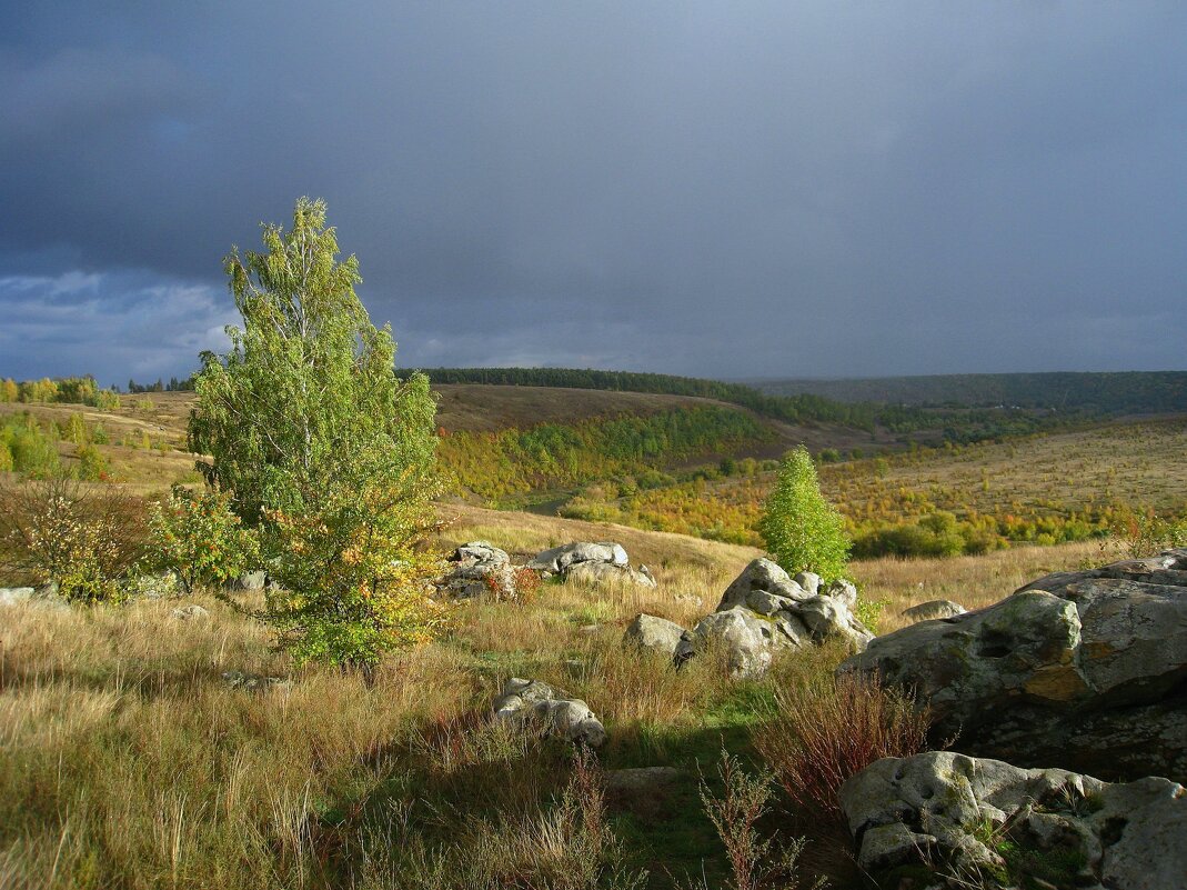 Ведьмино Красногорье или Ведьмины холмы в Тульской области. - unix (Илья Утропов) Ведьмино Красногорье или Ведьмины холмы в Тульской области. - unix (Илья Утропов)