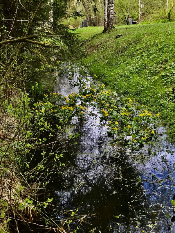 Дачная канавка - Любовь Дачная канавка - Любовь