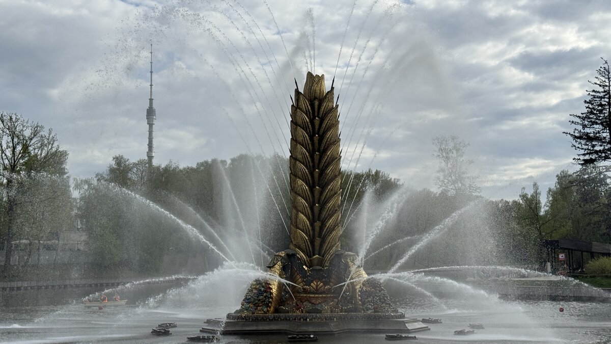 Золотой колос - <<< Наташа >>>