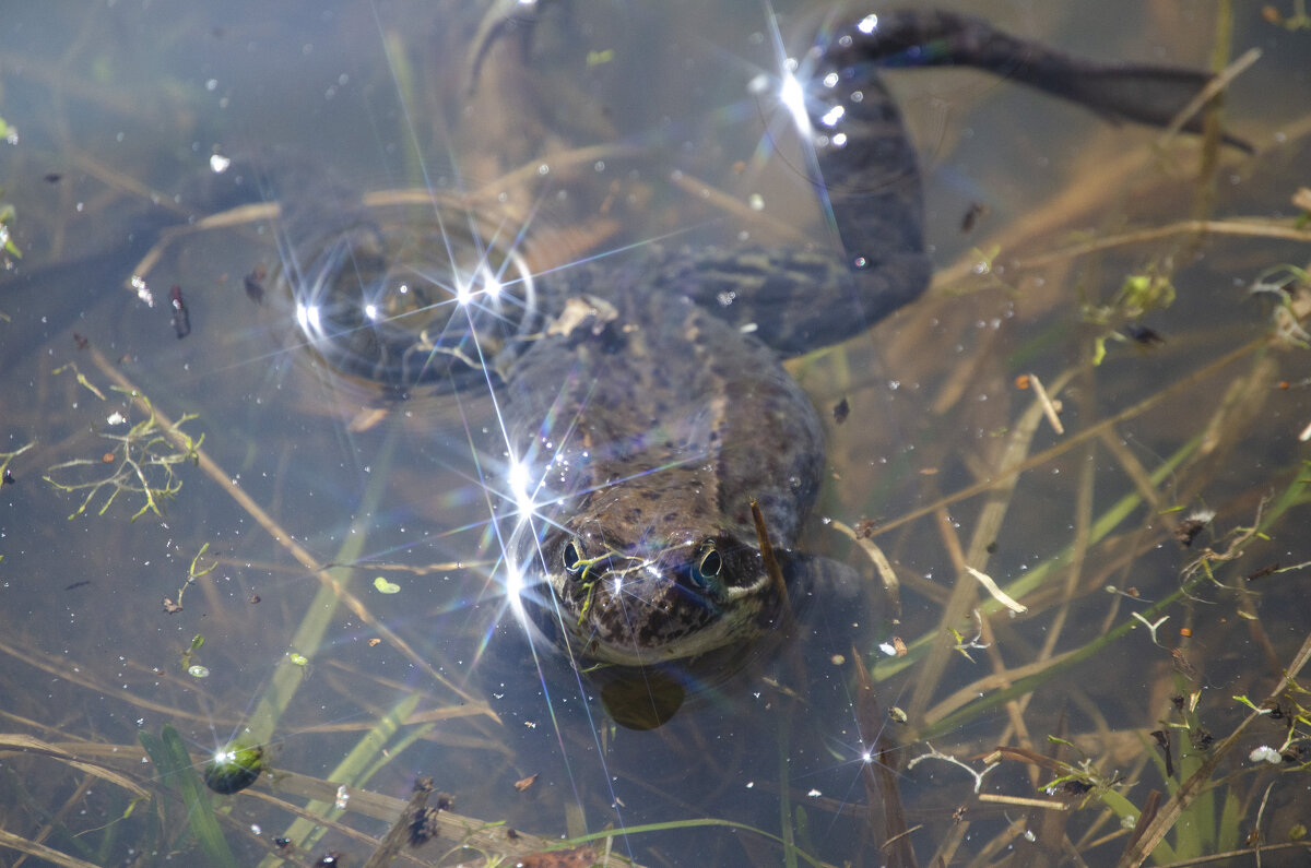 Отдыхает - Lyubov Busova