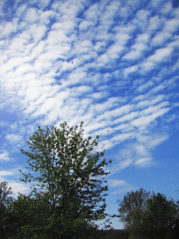 Наше мирное небо - Людмила Смородинская Наше мирное небо - Людмила Смородинская