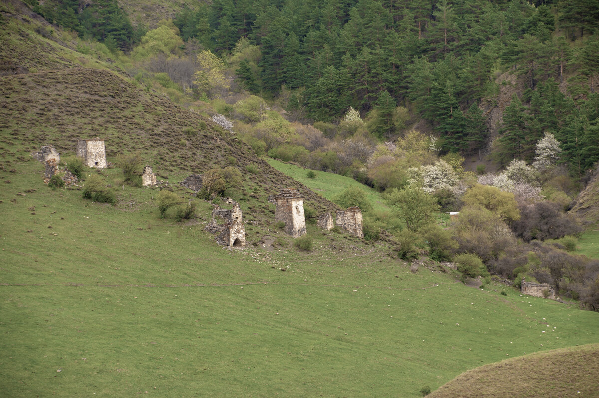 Горная Ингушетия. Башенные комплексы - Gen 