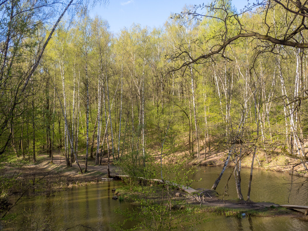 ___ - Yuriy V ___ - Yuriy V