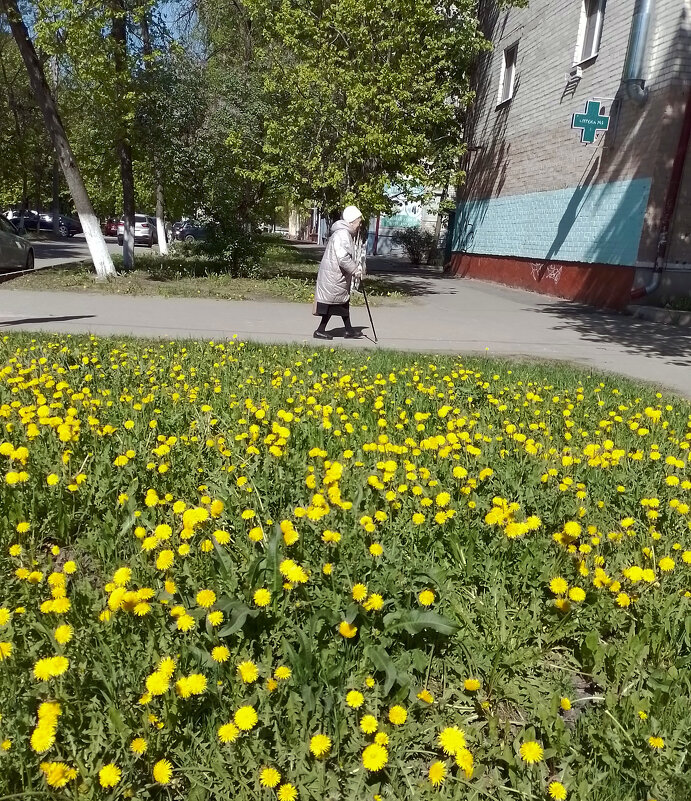 *** - Валентина Береснева