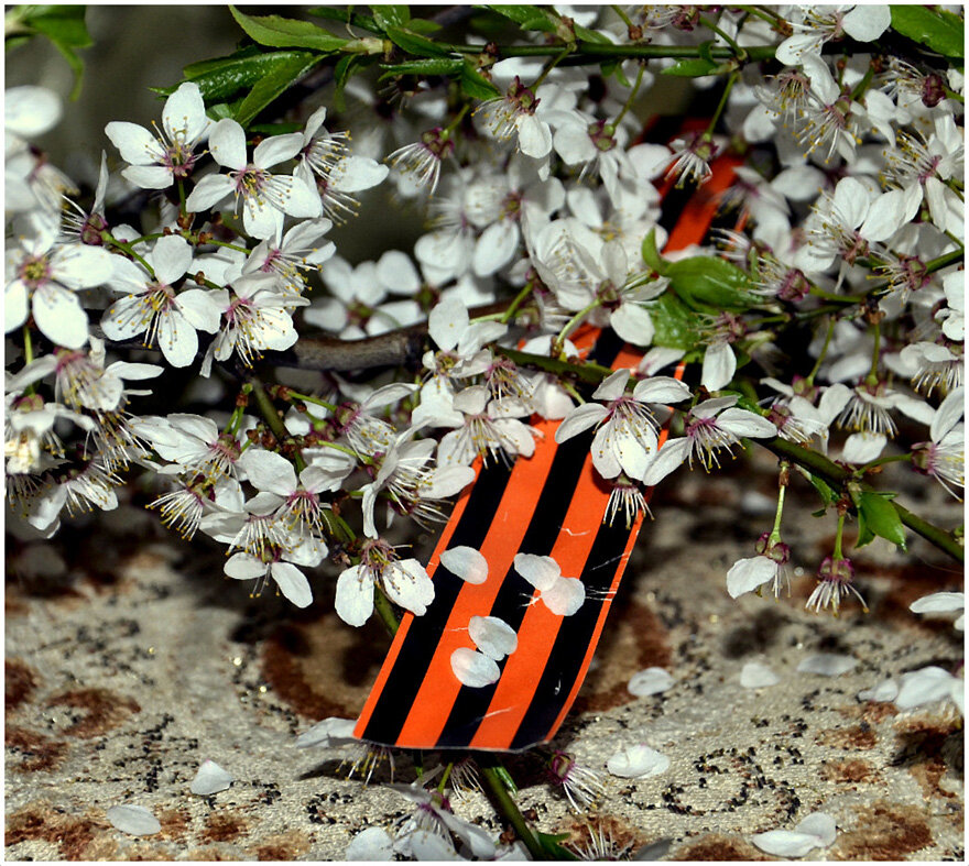 С Днем Великой Победы....Помним... - Aleksandr Gal С Днем Великой Победы....Помним... - Aleksandr Gal