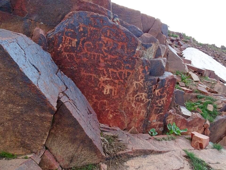 НАШИ ПРОГУЛКИ. - Виктор Осипчук