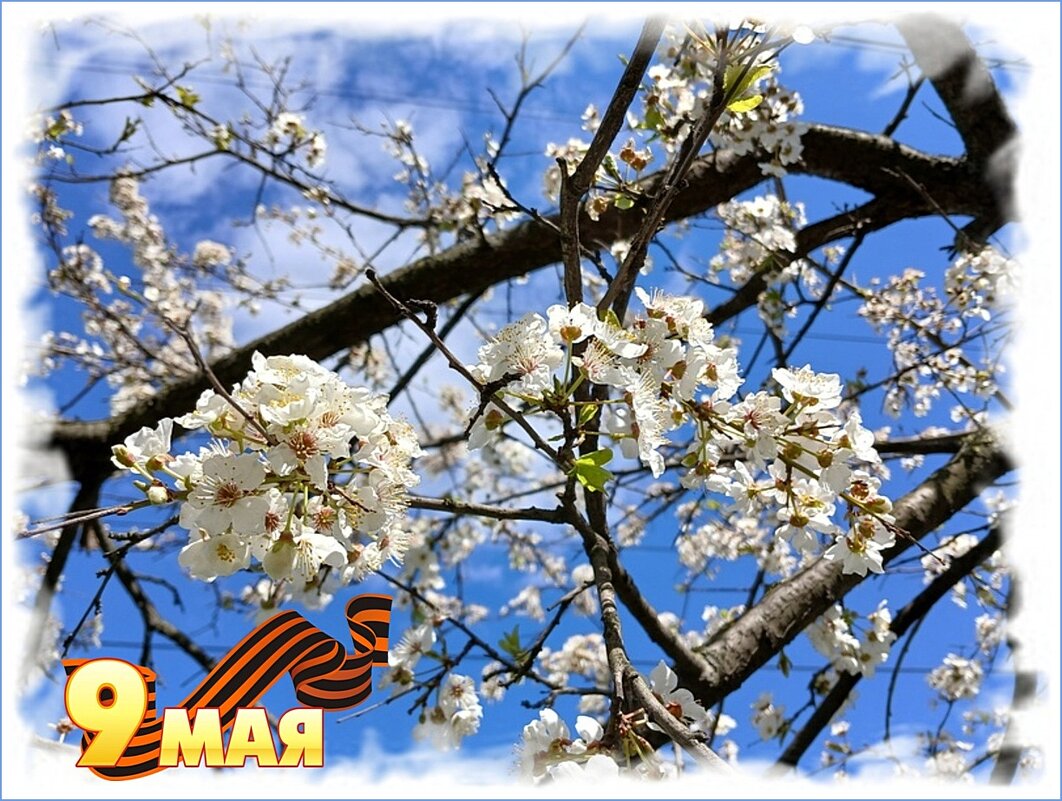 Голубого неба над головой ! - Лия ☼ Голубого неба над головой ! - Лия ☼