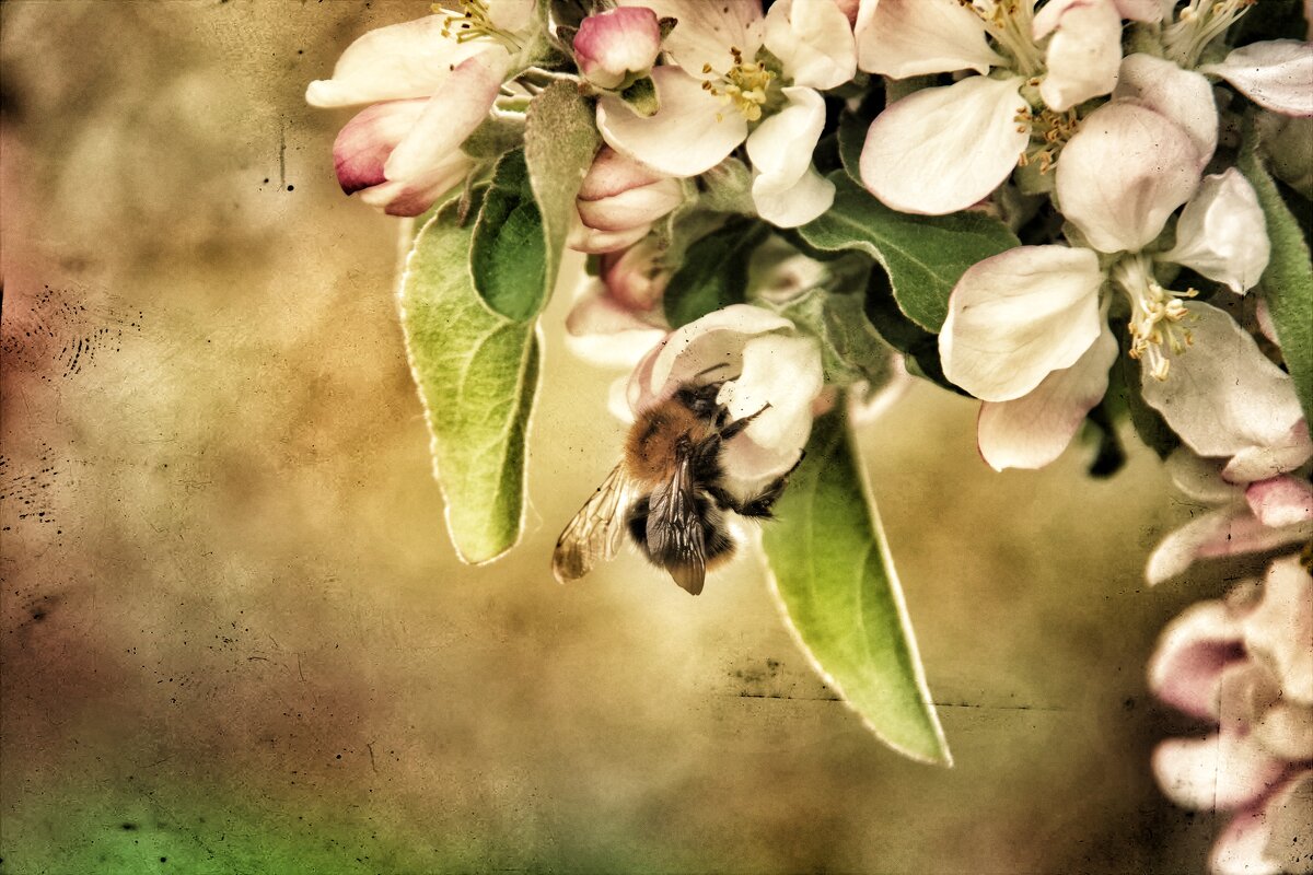 ..... - Руслан 