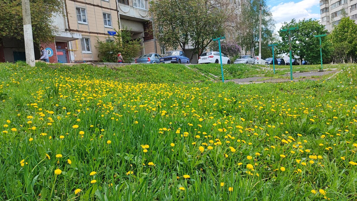 ,,, - Сергей Тимоновский