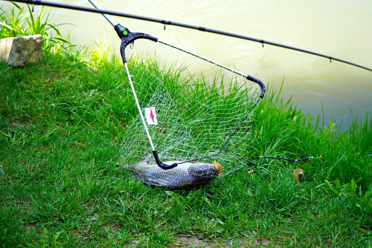 На рыбалке - Татьяна Тюменка