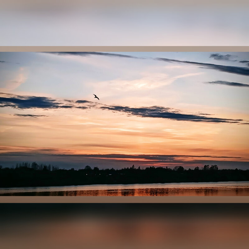 Волхов - Андрей 