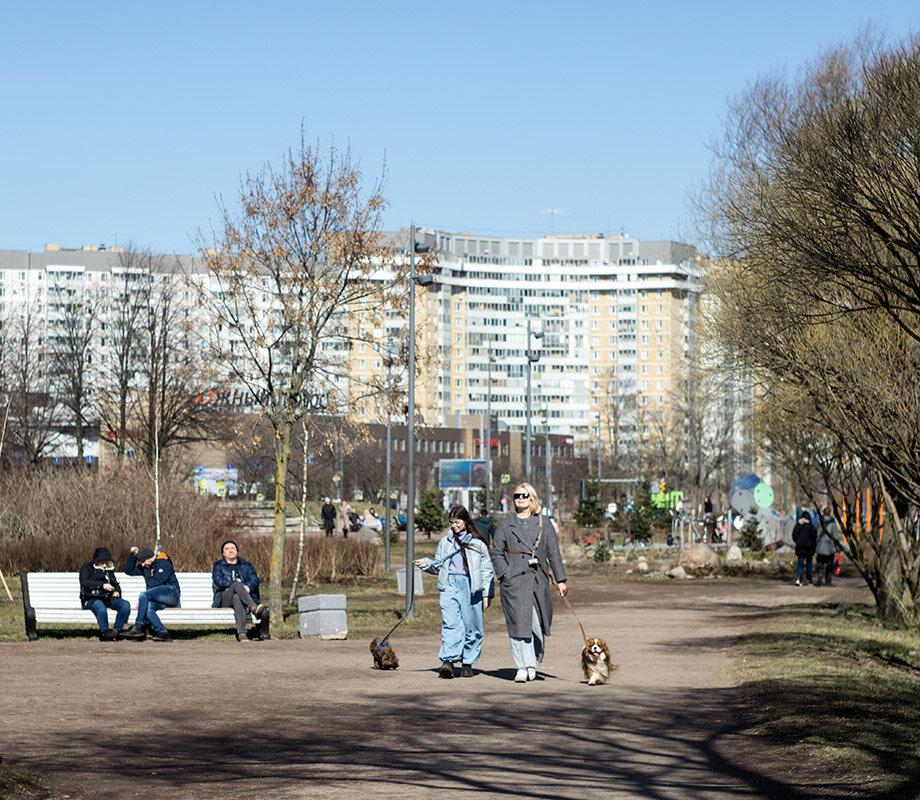Дамы с собачками - VL 