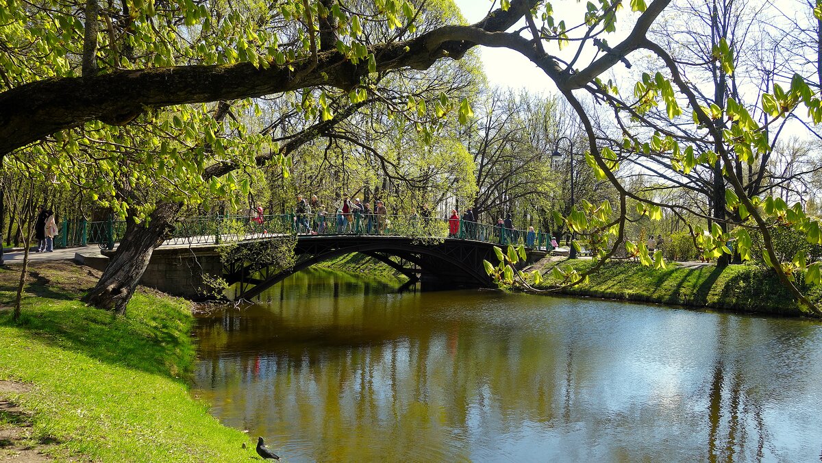 Под сенью ласковой липы... - Sergey Gordoff Под сенью ласковой липы... - Sergey Gordoff