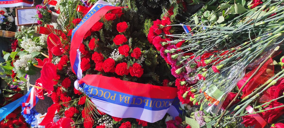 День Победы - Светлана Баталий