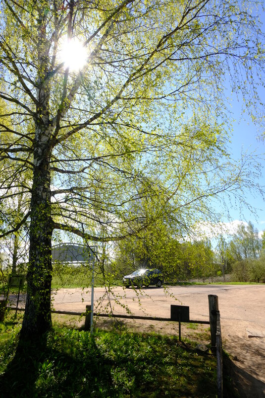 Апрельское утро - Олег Зоркий