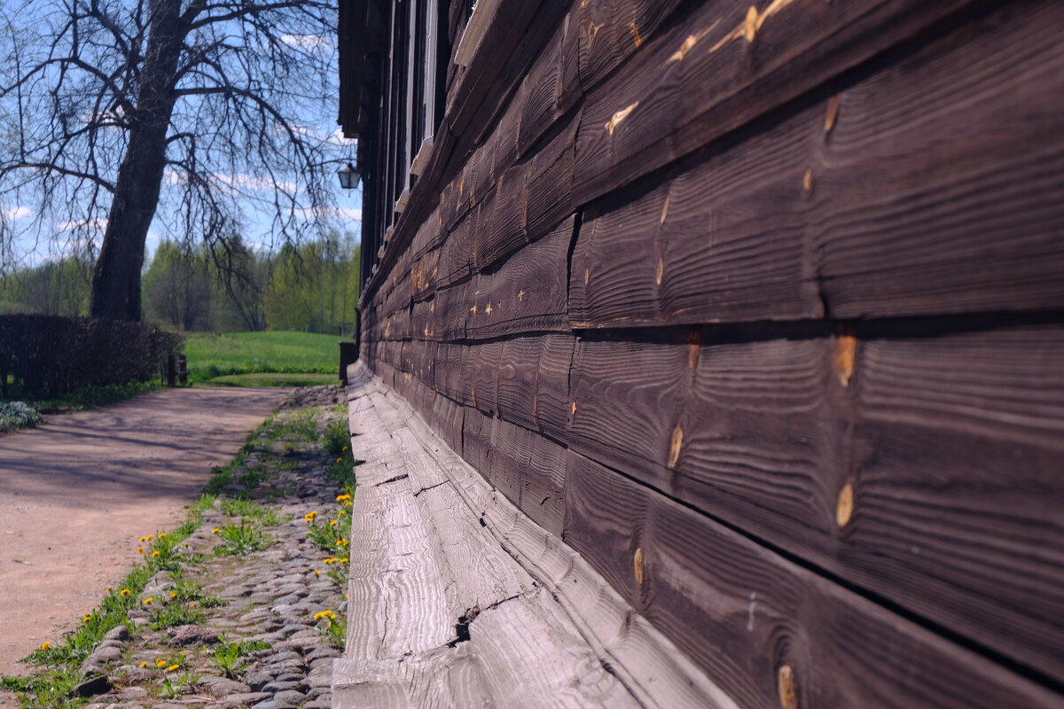 Обшитая тёсом стена дома-музея в Тригорском - Олег Зоркий Обшитая тёсом стена дома-музея в Тригорском - Олег Зоркий