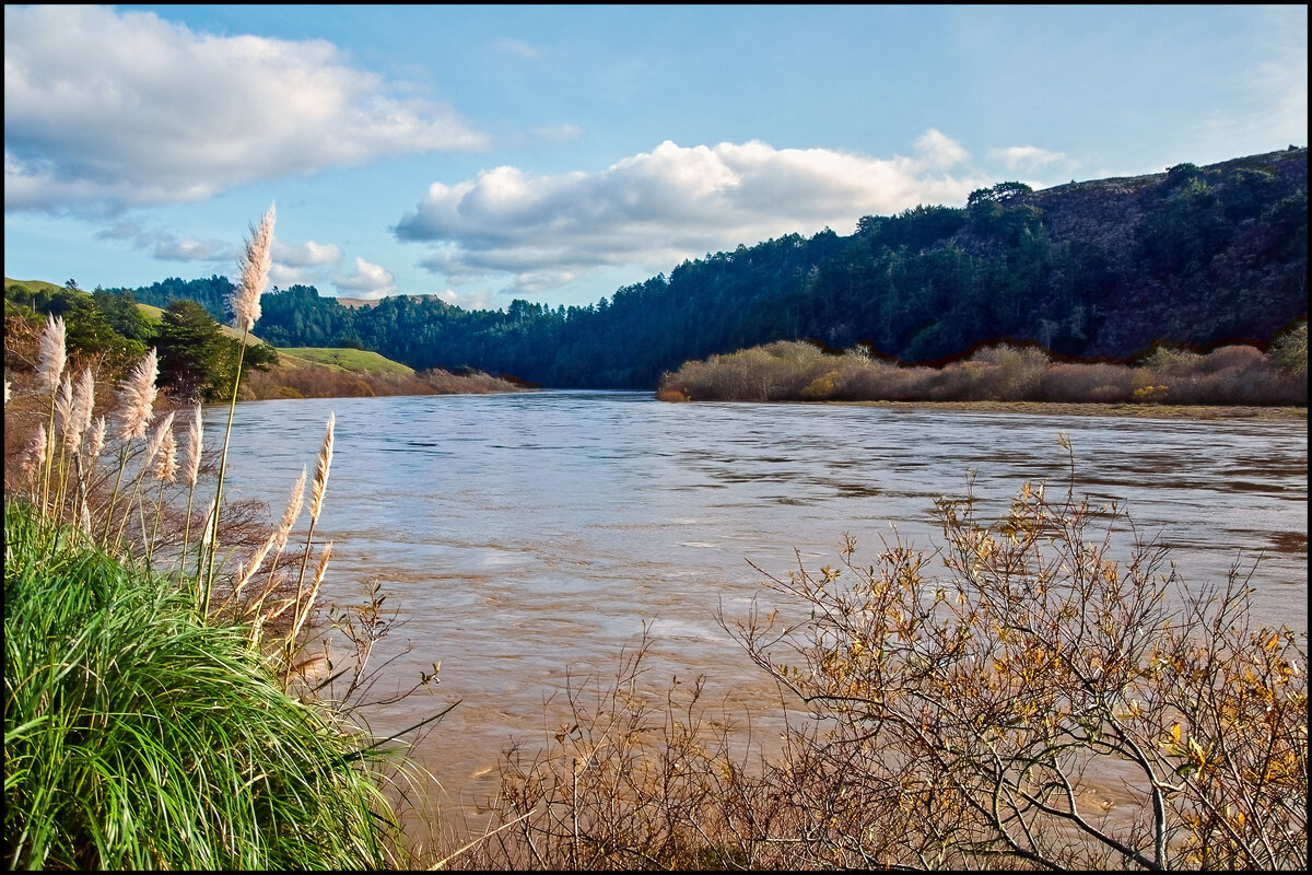 Русская река - **** vedin Русская река - **** vedin