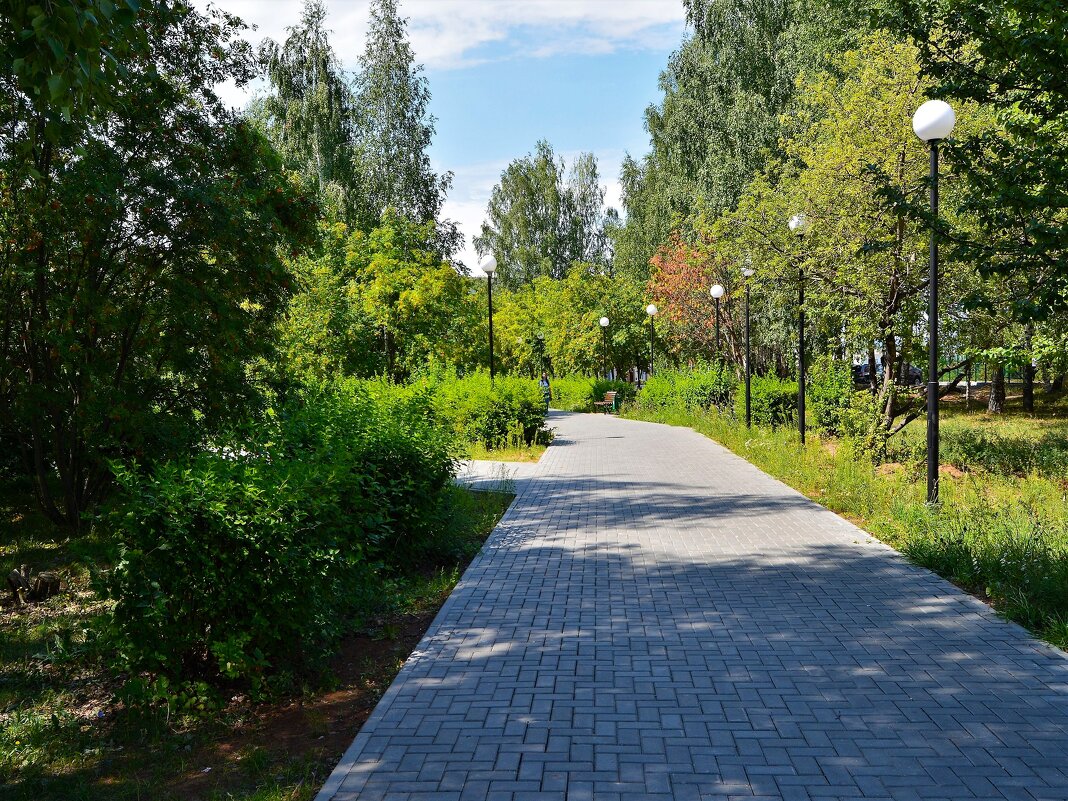 Чебоксары. Сквер клиники "Северной" летом. - Пётр Чернега Чебоксары. Сквер клиники "Северной" летом. - Пётр Чернега