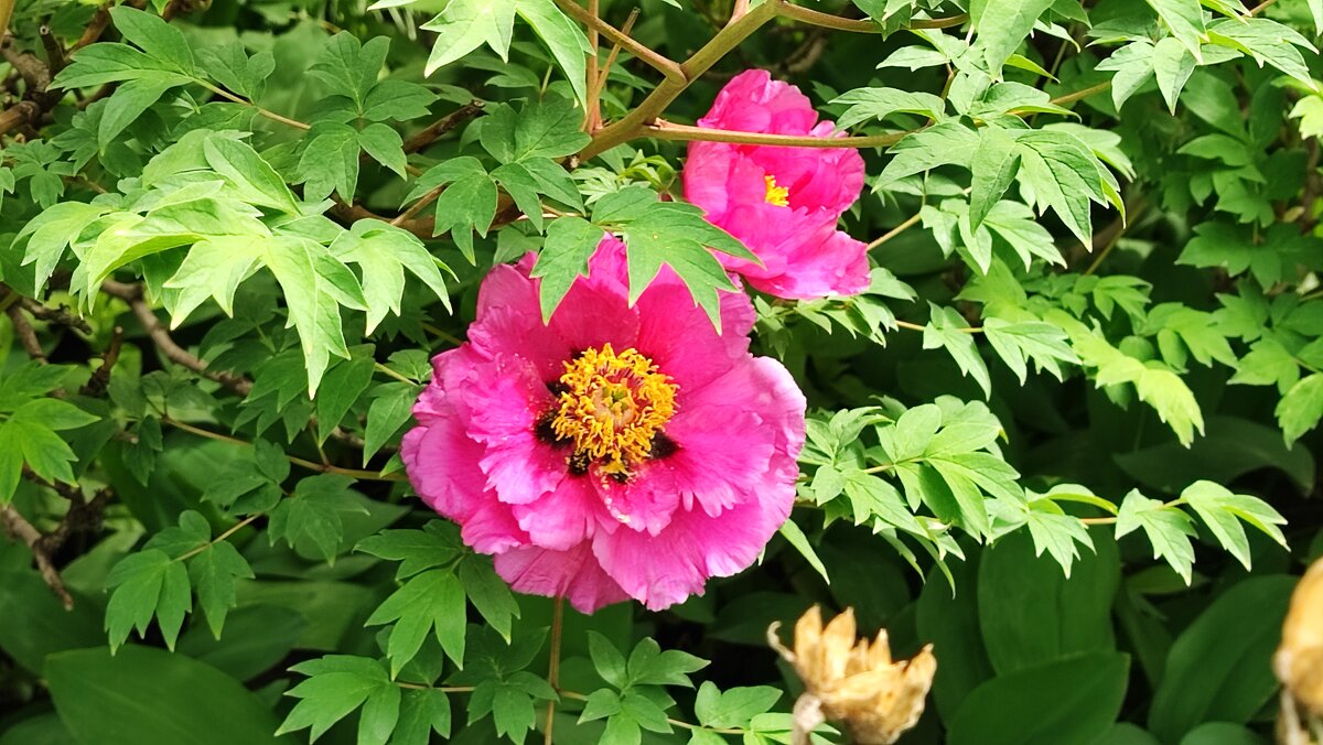 ,,, - Сергей Тимоновский