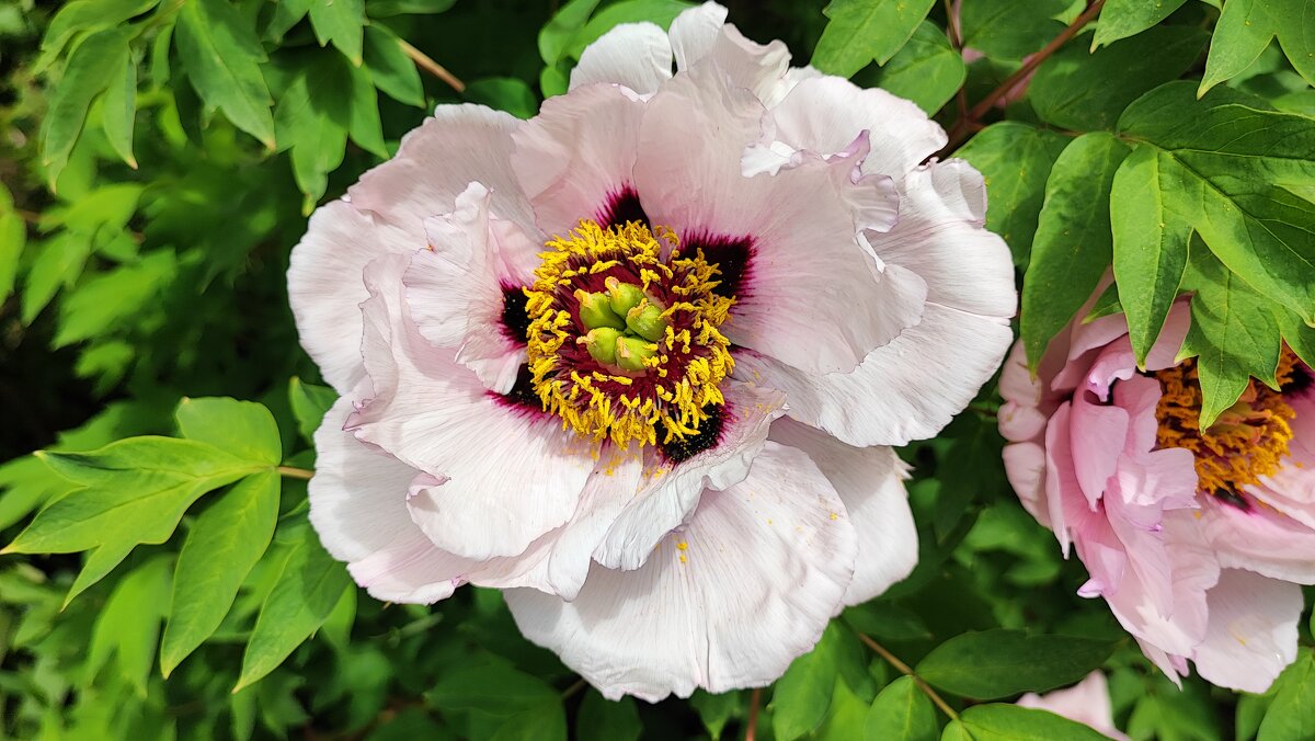 ,,, - Сергей Тимоновский ,,, - Сергей Тимоновский