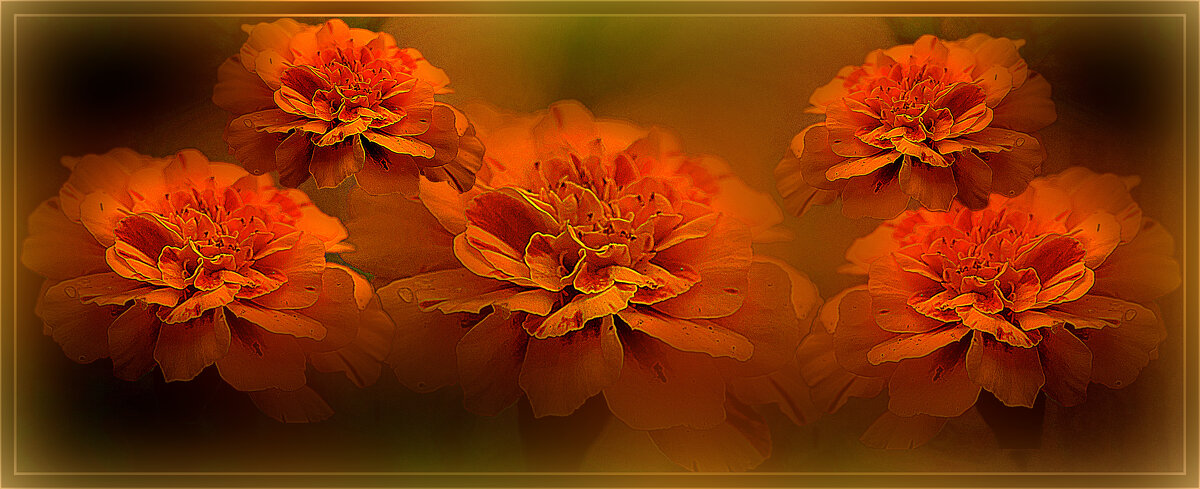 О лете - Владимир Кроливец О лете - Владимир Кроливец