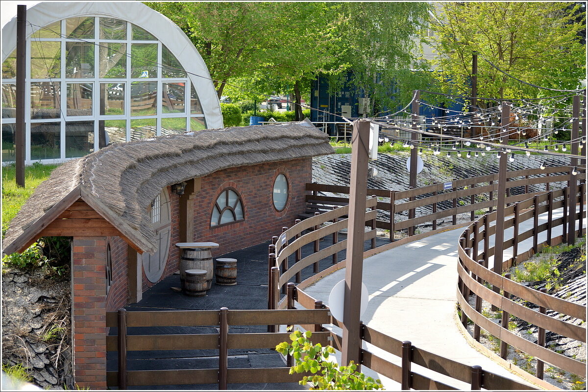 Летом - ролики , зимой - коньки - Сеня Белгородский Летом - ролики , зимой - коньки - Сеня Белгородский