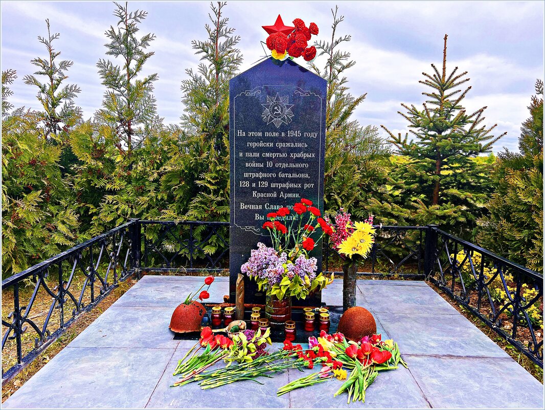 9 МАЯ 2025г. - Валерия Комова 9 МАЯ 2025г. - Валерия Комова