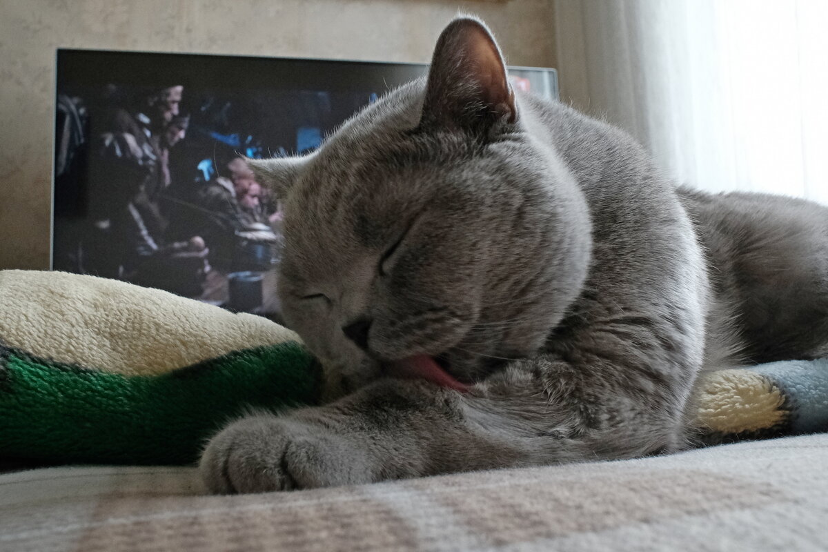 Вечерний моцион - Лютый Дровосек