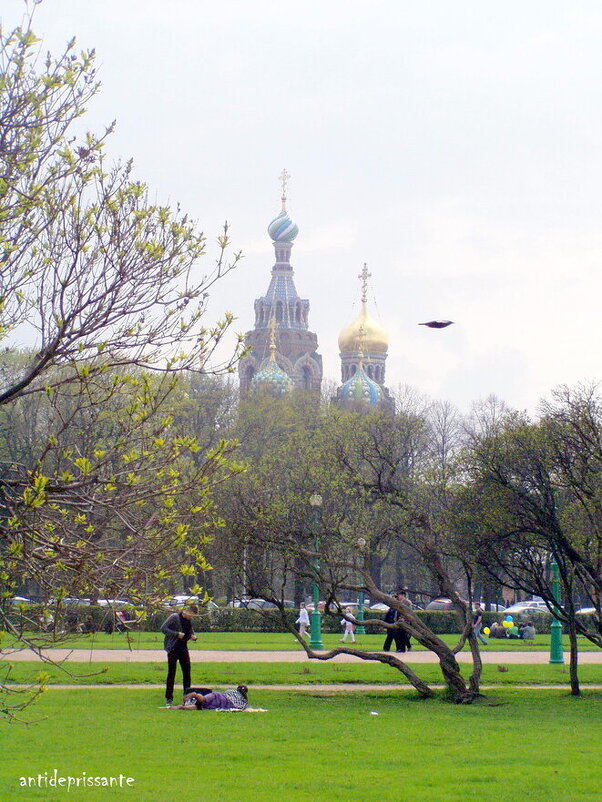 СПБ...Центр... - vadim 