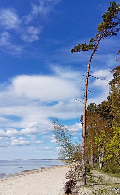 Хороший день.. - Татьян@ Ивановна