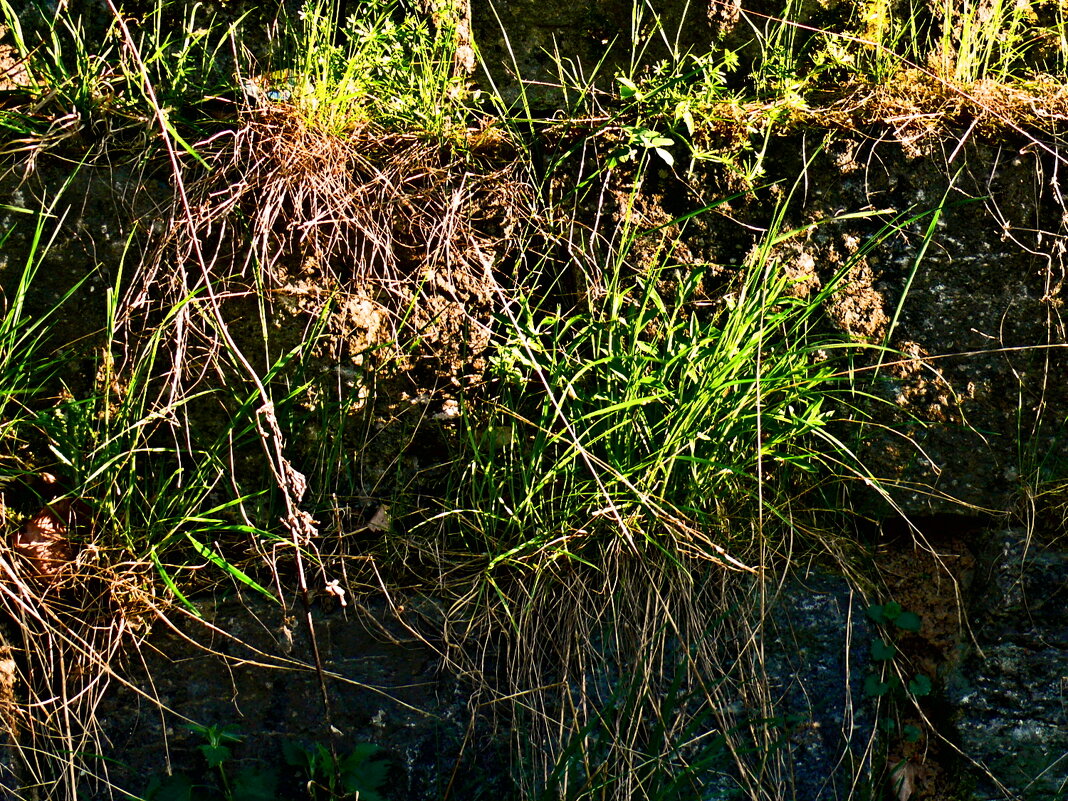 Весенние зарисовки 127 - Алексей Кузнецов