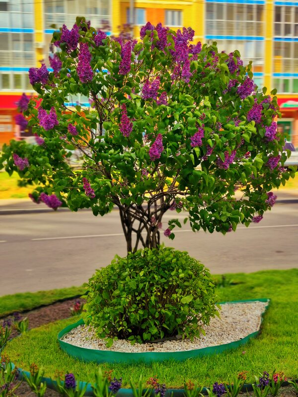 ***** - Алексей Архипов