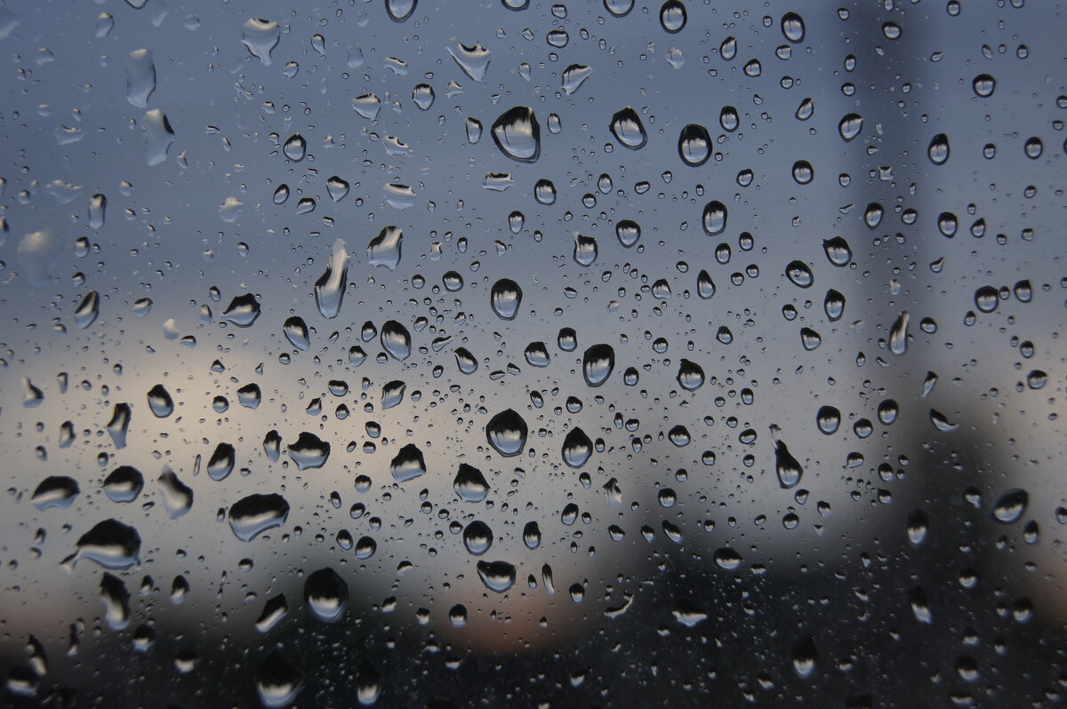 Капли дождя на стекле - Глеб Капли дождя на стекле - Глеб