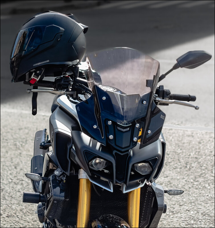 "Зверь" - Александр Тарноградский "Зверь" - Александр Тарноградский