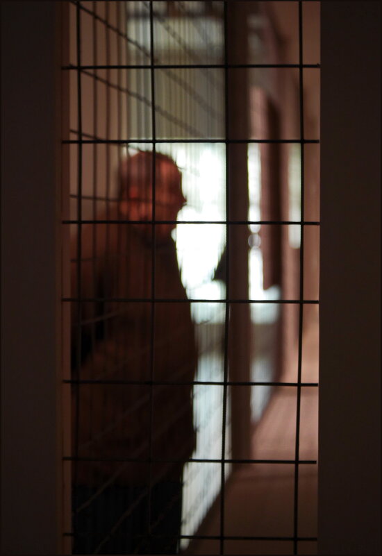 Иллюзорный мир - Наталья Rosenwasser Иллюзорный мир - Наталья Rosenwasser