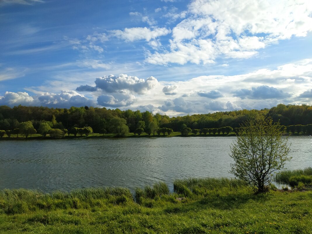 Москва майская - Андрей Лукьянов