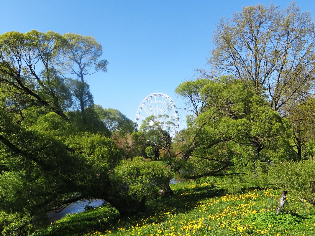 парк - марта Камушкина