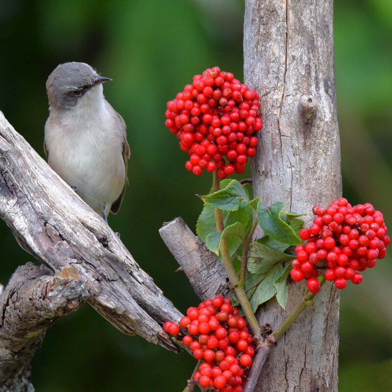 Сложность выбора - Михаил Белоусов Сложность выбора - Михаил Белоусов