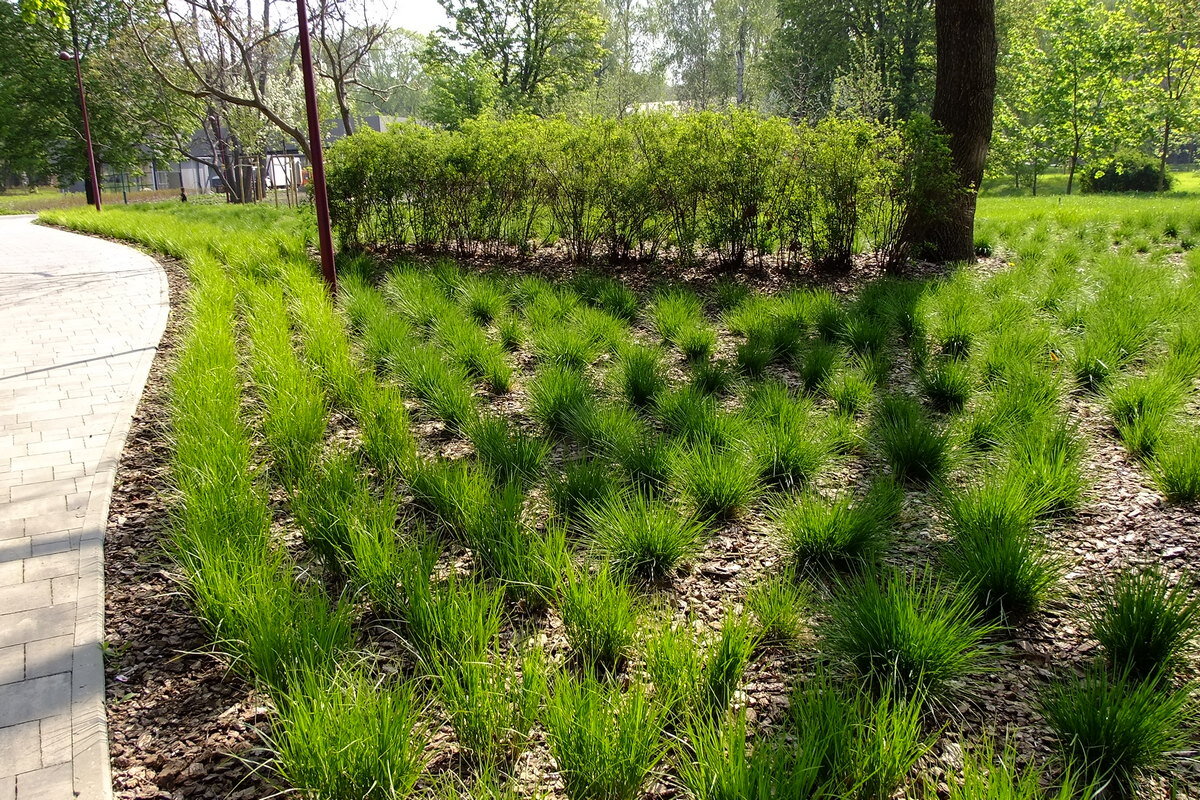 Лужайка - Фёдор Меркурьев Лужайка - Фёдор Меркурьев