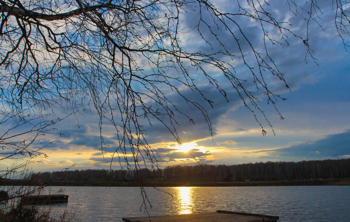 *** - Евгения Каравашкина