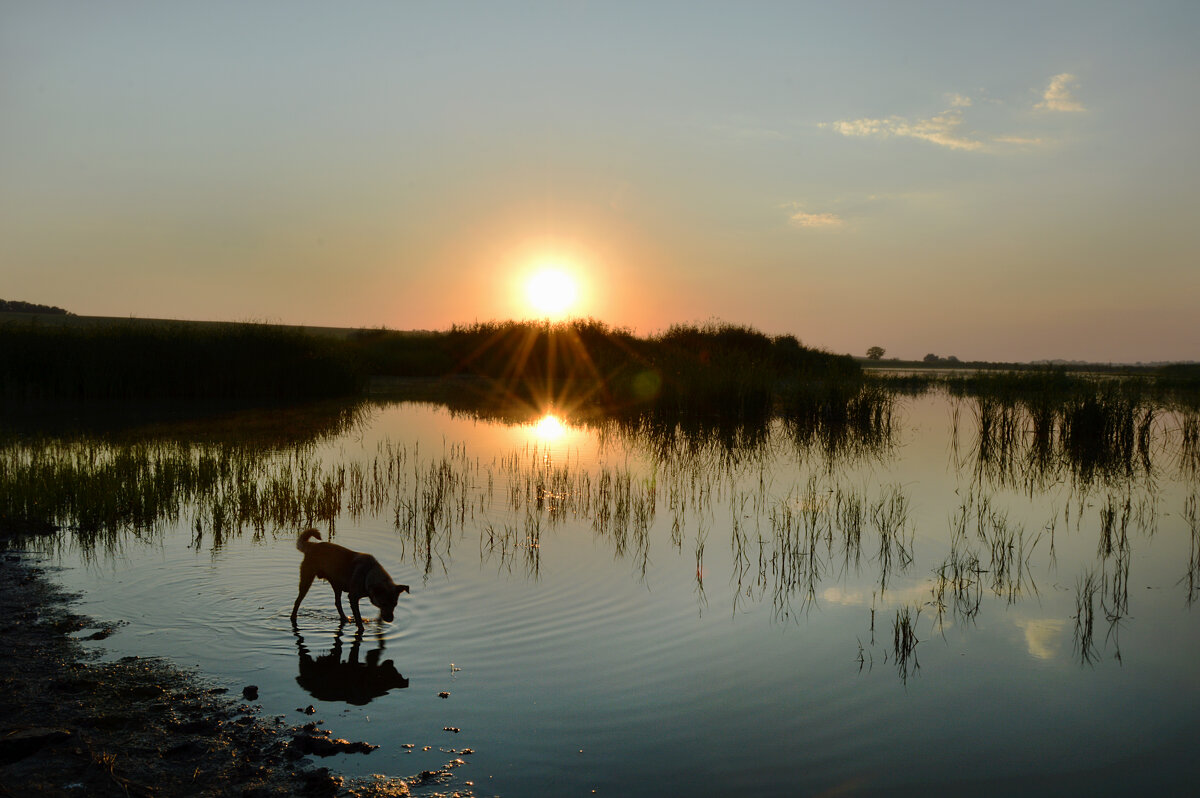 На рассвете - Надежда Куркина 