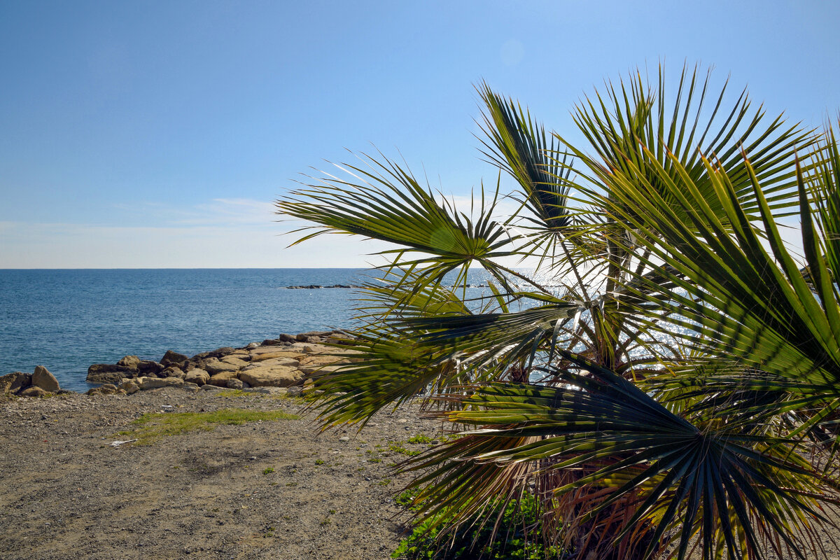 *** - Oleg4618 Шутченко