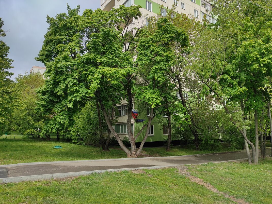 Воскресное утро - Игорь Ч. Воскресное утро - Игорь Ч.