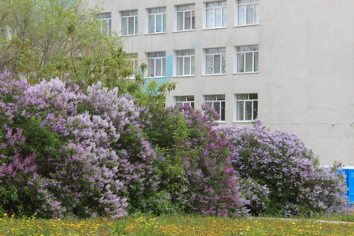 Мой город. - Венера Чуйкова Мой город. - Венера Чуйкова